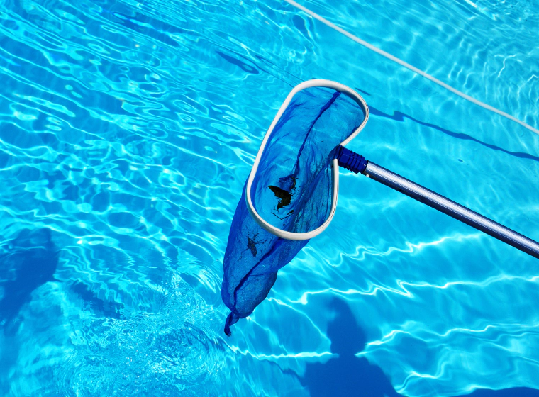 A pool being cleaned with a net